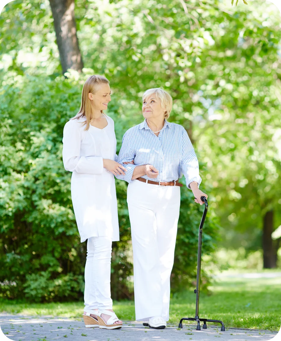 Companion for seniors