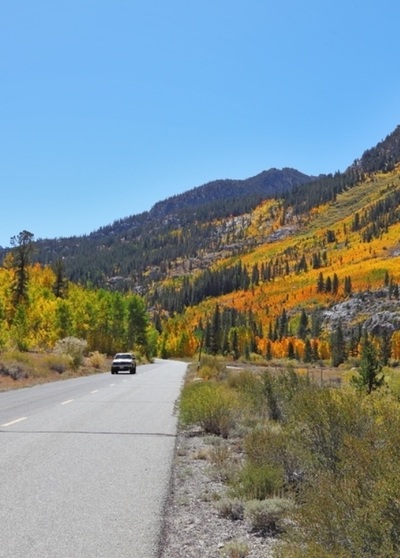 Home care in Wheat Ridge
